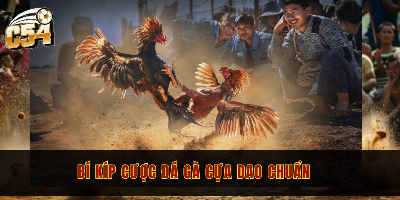 Bí kíp cược đá gà cựa dao chuẩn