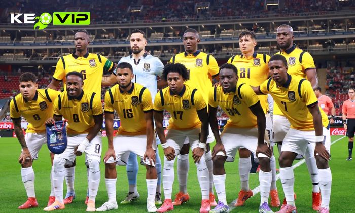 Đội tuyển quốc gia Ecuador