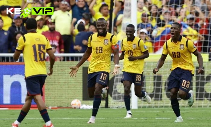 Nhận định soi kèo Ecuador vs Curacao WC2026, 7h ngày 21/06 2 Đội tuyển Bóng đá Quốc gia Ecuador