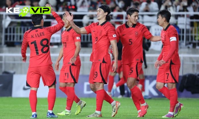 Nhận định soi kèo Nam Phi vs Hàn Quốc WC2026, 8h ngày 25/06 3 Đội tuyển Bóng đá Quốc gia Hàn Quốc